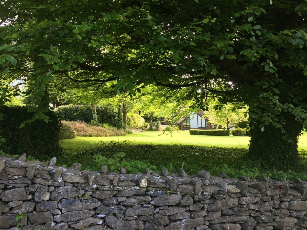 Tudor Lodge Guest Accommodation Bunratty Exteriér fotografie